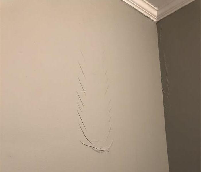 blistered walls and trim 