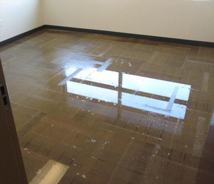 water reflecting off floor carpet