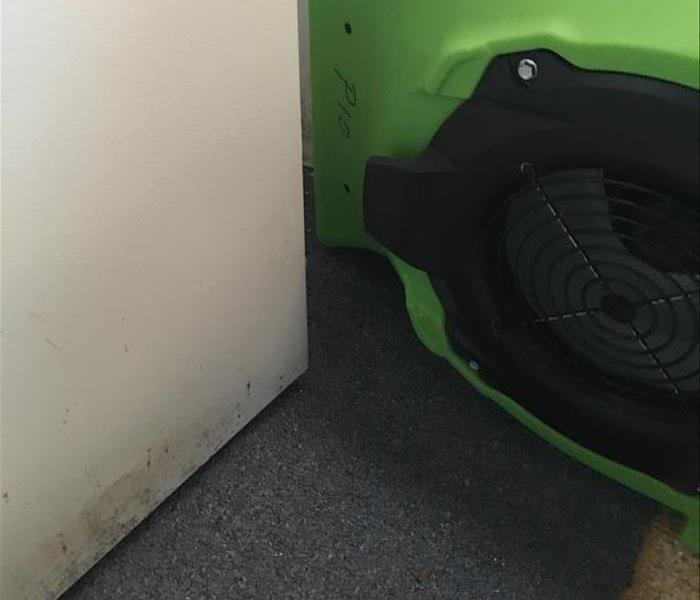 water stained rug and walls, green air mover
