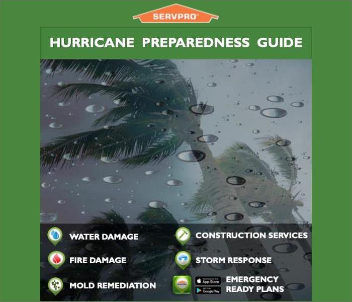 Palm trees in a storm with caption of Hurricane Preparedness Guide